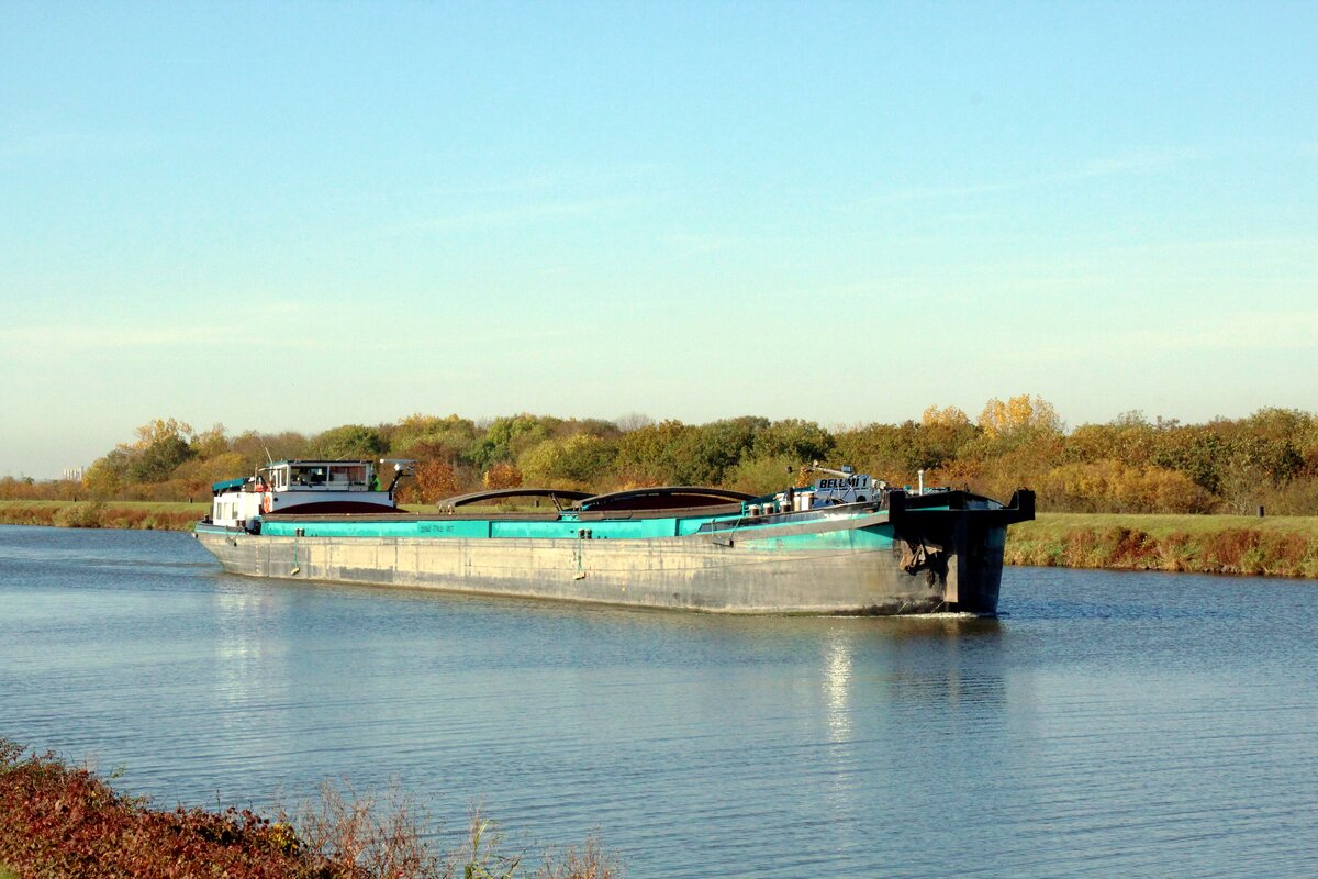 GMS  BELUMI I  (02205144 , 77 x 8,20m) am 28.10.2021 im  MITTELLANDKANAL  Höhe Barleber See I auf Bergfahrt nach MD.