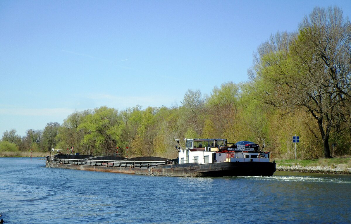 GMS  BIBER  (04701240 , 84 x 9,5m) am 27.04.2021 im Sacrow-Paretzer-Kanal / UNTERE HAVEL-WASSERSTRASSE auf Talfahrt kurz vor der Mündung des Havelkanales.