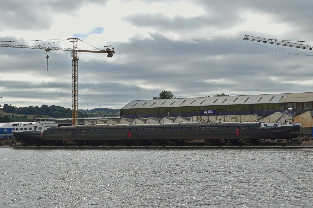 GMS BLACK PEARL, ENI: 02325183, L 105 m; B 9,50 m; BJ 1969; Flagge Frankreich; liegt am Albertkanal auf dem Trockendeck. 18.09.2025