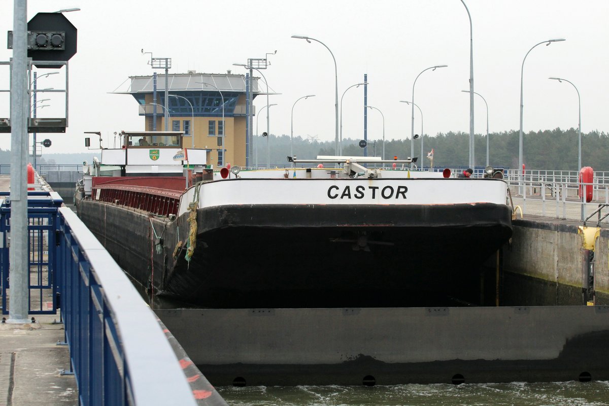 GMS Castor (04605000 , 85 x 9,5m) am 11.02.2017 bei der Bergschleusung in der Nordkammer der Schleuse Hohenwarthe.