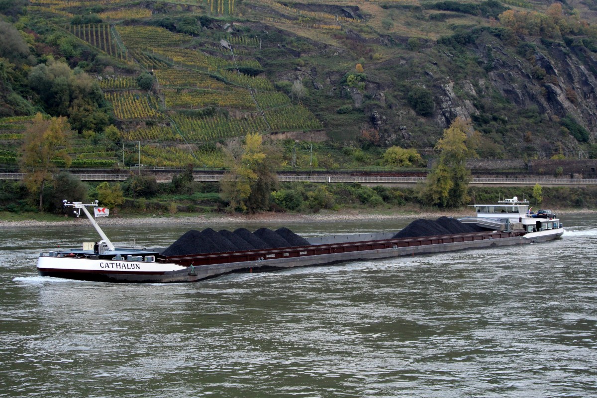 GMS Cathalun (02328143 , 110 x 11,45m) am 21.10.2014 bei Rhein-km 551 auf Bergfahrt.