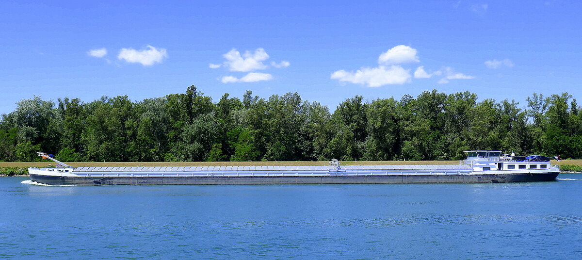 GMS Cedi, ENI 02321014, rheinaufwärts vor Breisach, Juni 2025