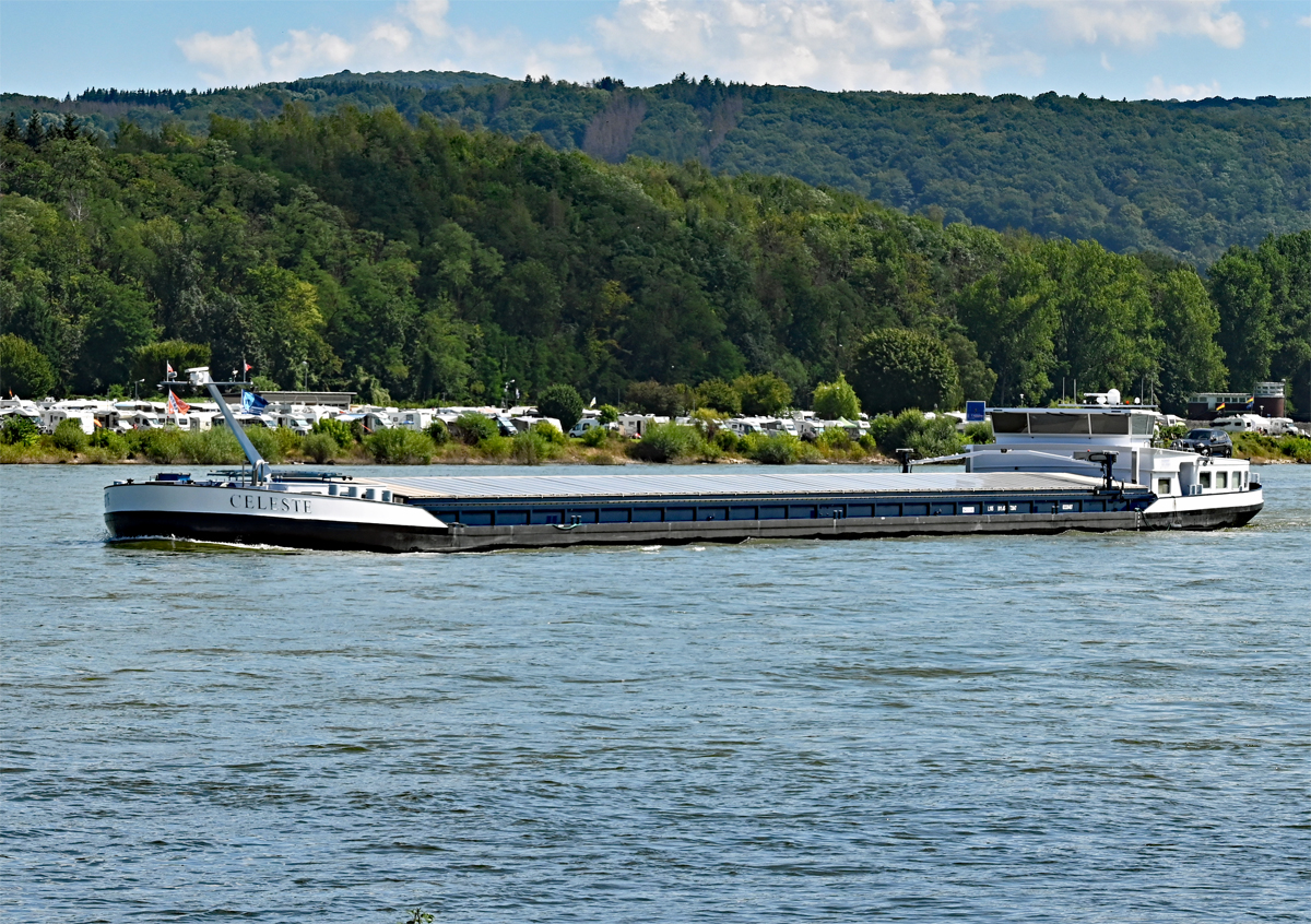 GMS CELESTE, Rhein zwischen Bad Hönningen und Bad Breisig - 14.08.2021