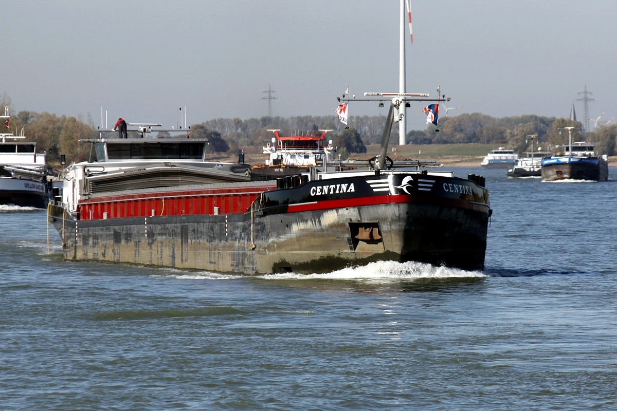 GMS Centina Europa Nr.:02333548 am 05.10.2019 auf dem Rhein bei Xanten.