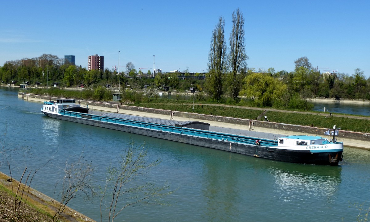 GMS  Cherasco , in Basel vor der Schleuseneinfahrt Birsfelden, das belgische Frachtschiff mit 110m Lnge und 2403t Ladefhigkeit wurde 1989 in den Niederlanden gebaut, April 2015