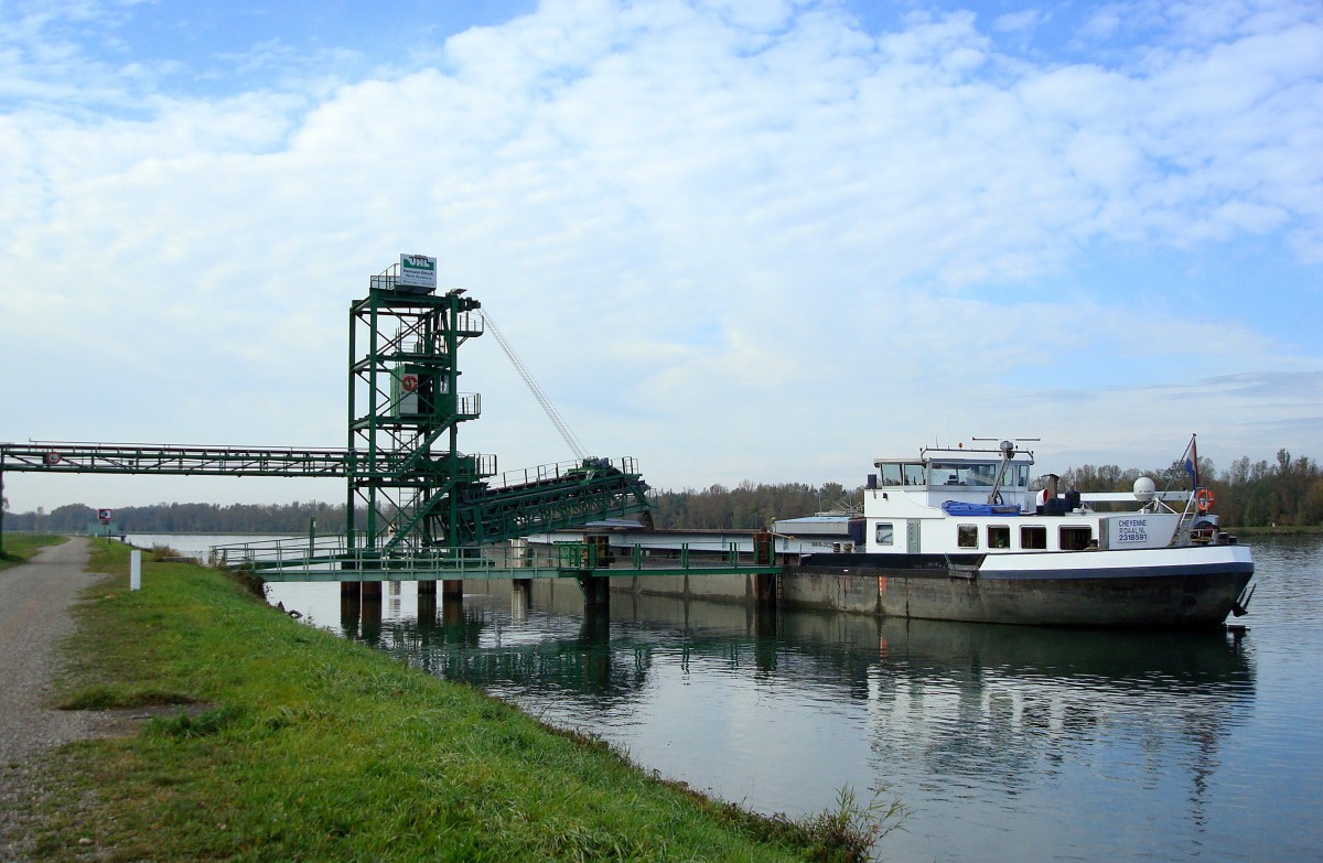 GMS  Cheyenne , Niederlande, beim Kiesladen nahe Breisach am Rhein, Baujahr 1959, Tonnage 1204t, L=80m, Okt.2008