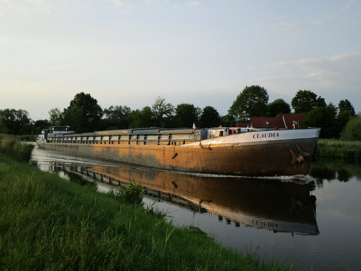 GMS Claudia (04021430 , 80 x 7,90m) am 06.06.2019 im Elbe-Lübeck-Kanal bei Kühsen auf Bergfahrt.