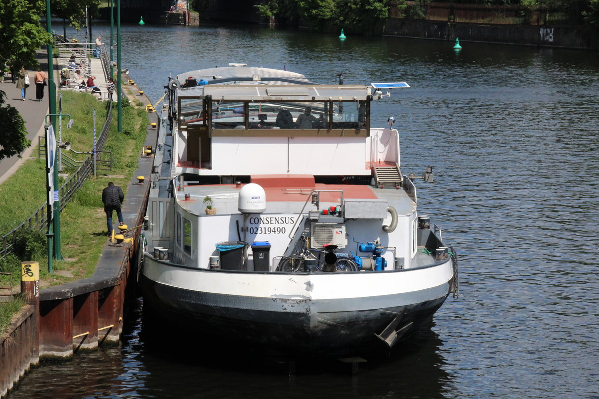 GMS Consensus (02319490 , 80 x 8,20m) lag am 15.05.2020 in Berlin-Spandau am Havelufer / UHW zu Berg. Voraus ist die Schleuse Spandau , an der Steuerbordseite die Spreemündung.  