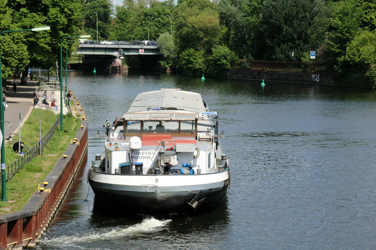 GMS CONSENSUS (02319490 , 80 x 8,20m) legte am 15.05.2020 vom Havelufer in Berlin-Spandau ab und fuhr in die gleichnamige Schleuse zu Berg ein. Die Schleuse Berlin-Spandau ist hinter der in Bild zu sehenden Strassenbrücke. 