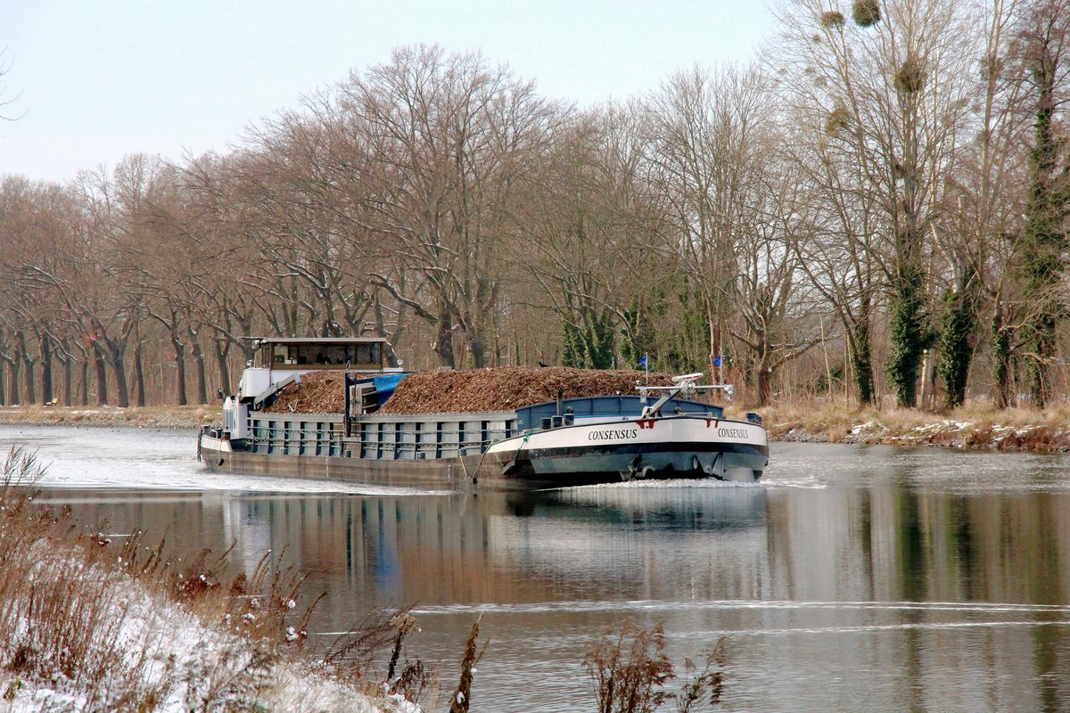 GMS  CONSENSUS  (02319490 , 80 x 8,20m) am 01.02.2021 im Sacrow-Paretzer-Kanal / UNTERE HAVEL-WASSERSTRASSE  zw. Schlänitzsee und Marquardt auf Bergfahrt nach Berlin.