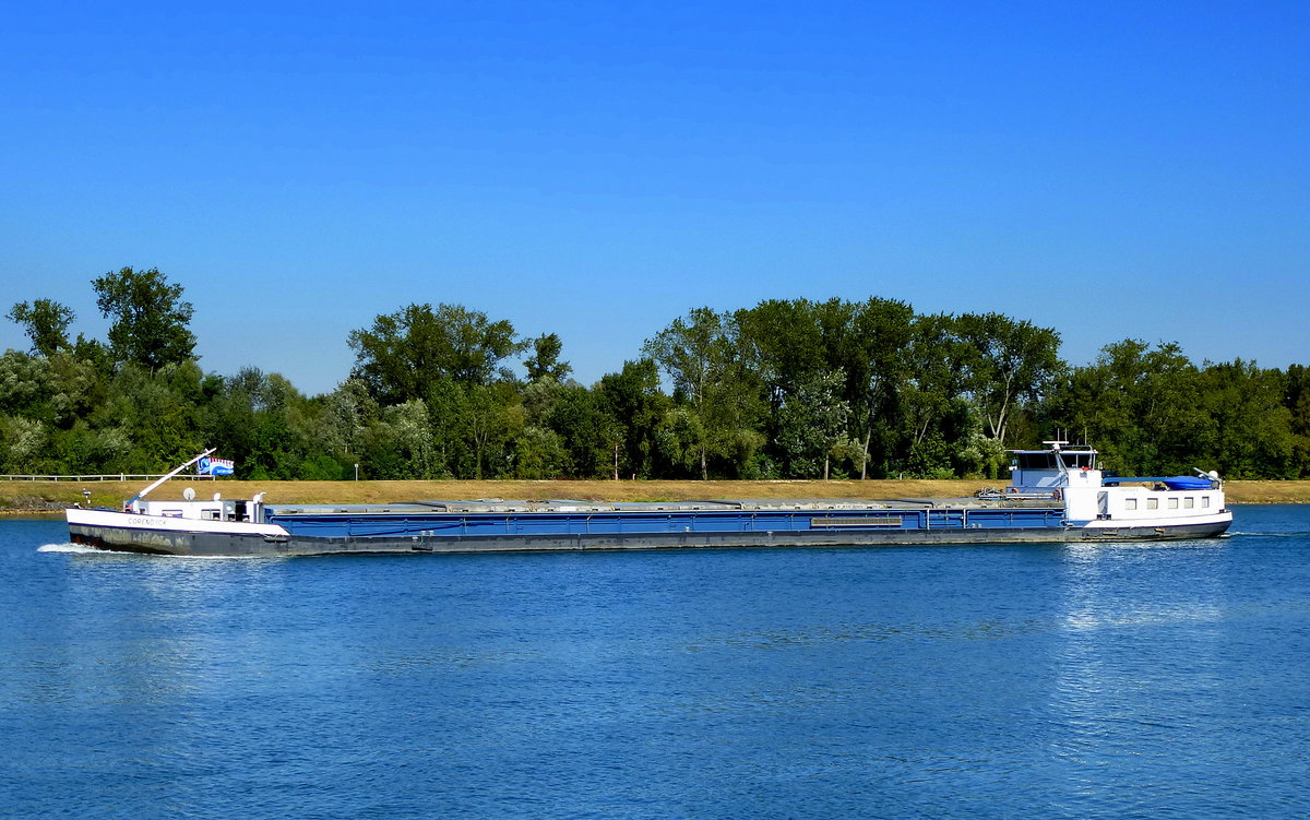 GMS  Corendyck , rheinaufwrts vor Marckolsheim/Elsa, Baujahr 1956, L=95m, 1764t, 2x600PS, unter Niederlndischer Flagge, Sept.2016