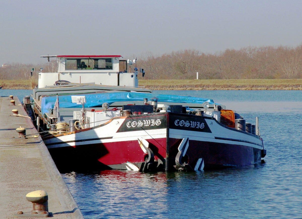 GMS  COSWIG  (04007500 , 67 x 8,20m) lag am 22.02.2021 oberhalb der Schleuse Rothensee / Rothenseer Verbindungskanal /  MITTELLANDKANAL.