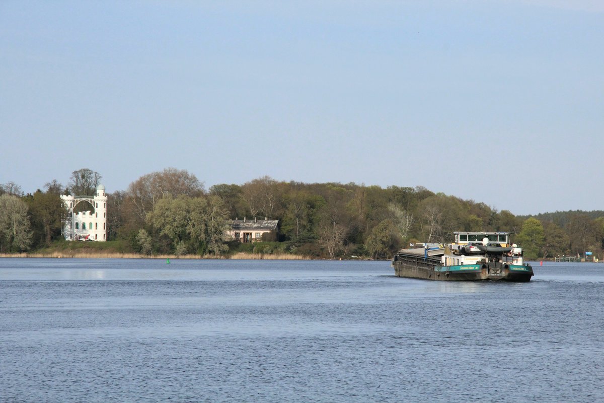 GMS Credendo Vides III (06001814 , 85 x 9,5m) am 16.04.2020 auf der Havel in Berlin zw. Moorlake und der Pfaueninsel auf Bergfahrt.