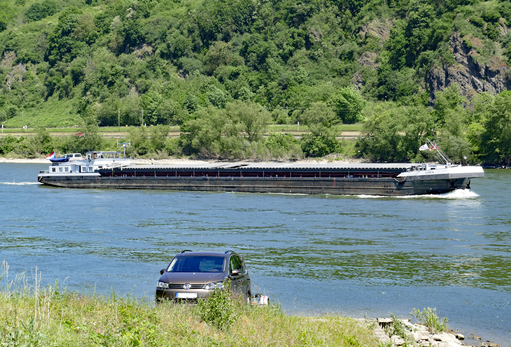 GMS  Curata , Rhein bei Leubsdorf - 27.05.2017