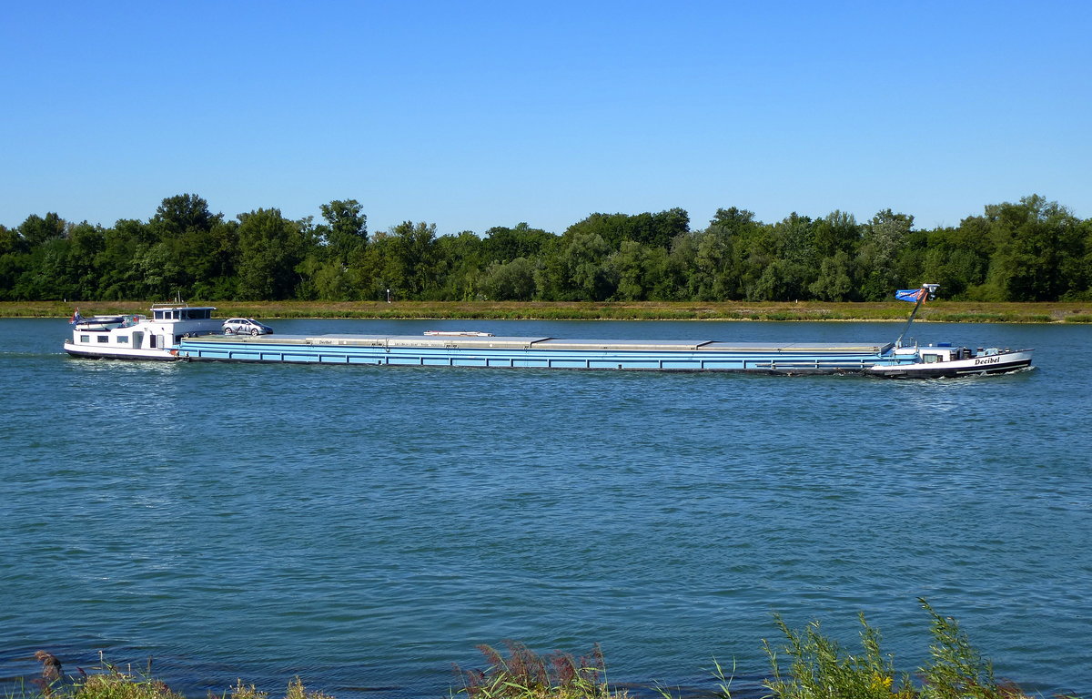 GMS  Decibel , rheinabwrts nrdlich von Marckolsheim/Elsa, Baujahr 1963, L=80m, 1153t, 2x510PS, Heimathafen Rotterdam, Sept.2016