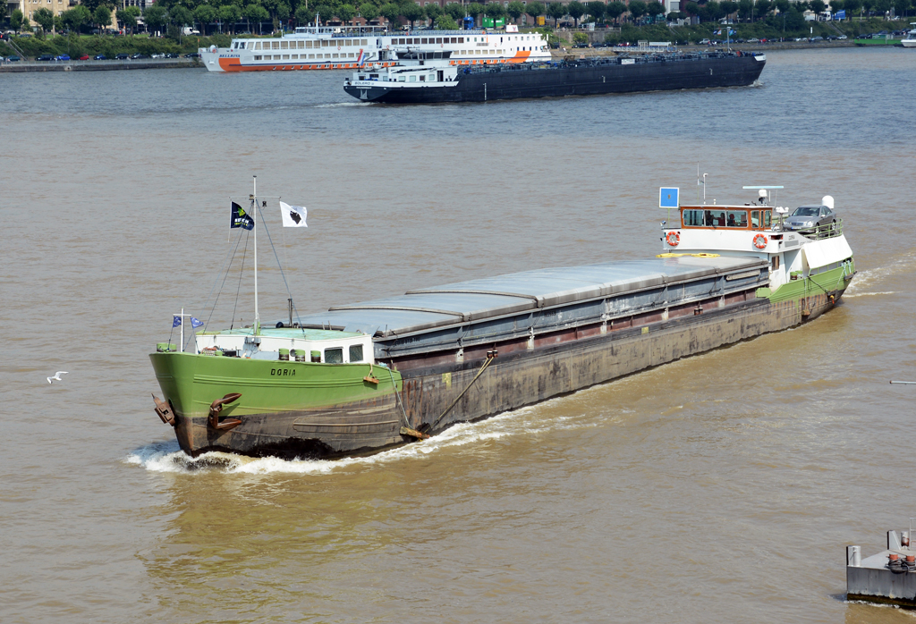 GMS  Doria  auf dem Rhein in Köln - 31.07.2014