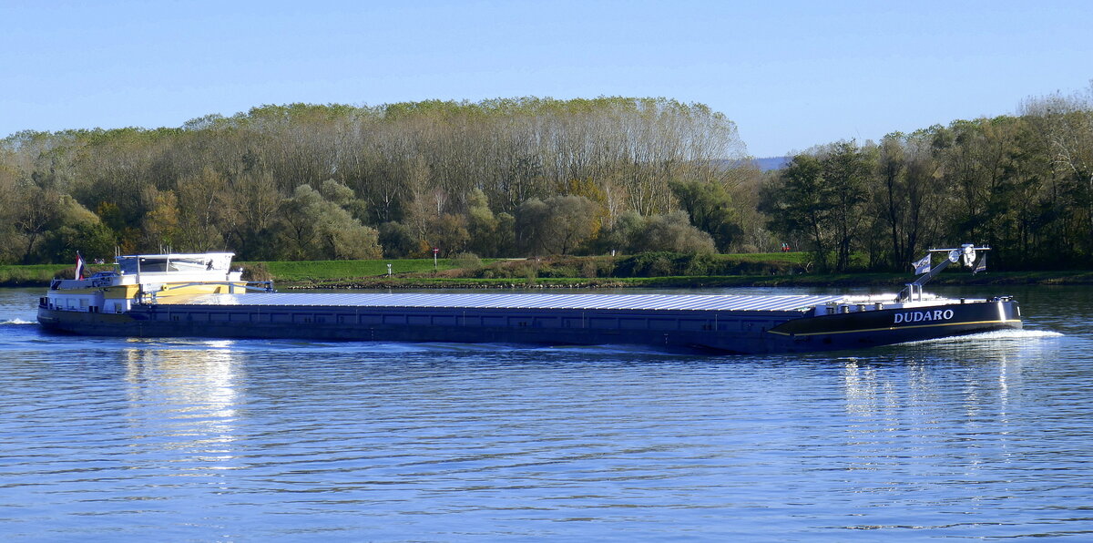 GMS Durado, rheinaufwärts nahe der Staustufe Rhinau/Elsaß, L=80m, Tonnage 1119t, 800PS, Baujahr 1957, gemeldet in Frankreich, Okt.2024