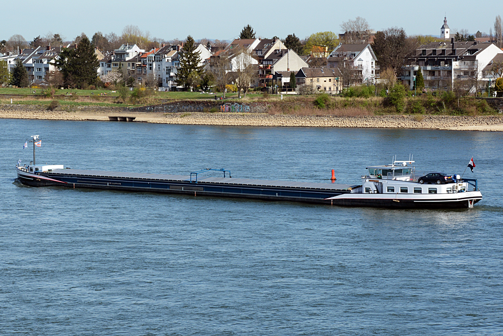 GMS  Emerald  auf dem Rhein in Bonn - 20.03.2014