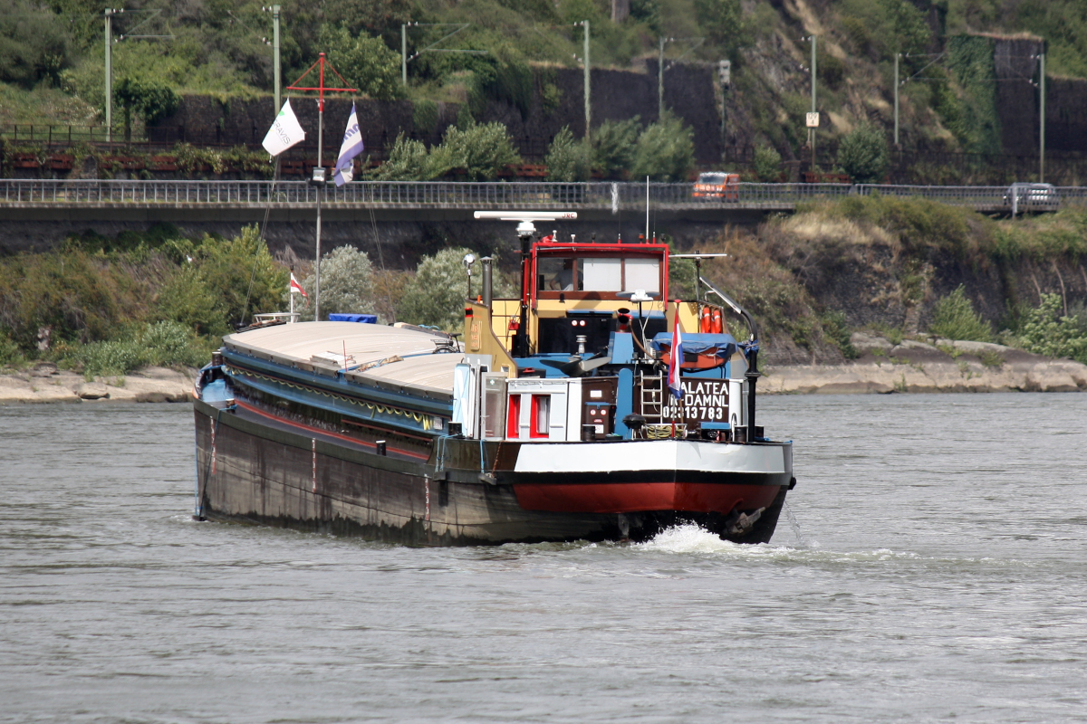 GMS GALATEA (ENI:02313783) L.63 m B.6,26 m T628 Flagge Niederlande auf dem Rhein zu Tal am 12.08.2023 in Oberwesel.
