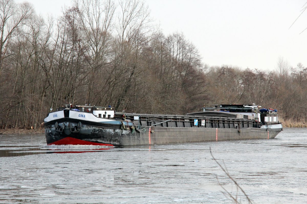 GMS Gina (04015620 , 79,71 x 7,95m) am 27.02.2018 auf der Havel vor Brandenburg zu Tal.