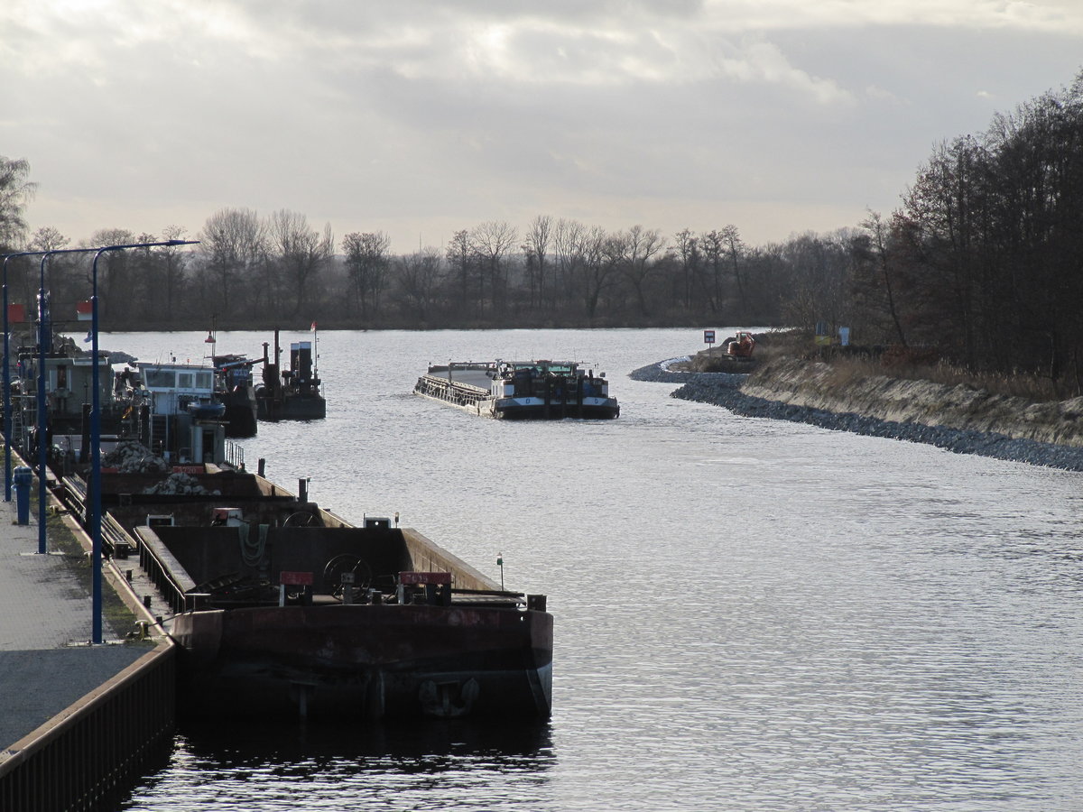 GMS Gina (04015620 , 79,71 x 7,95m) am 11.01.2020 im Havelkanal zu Tal vor der Einfahrt in die Untere-Havel-Wasserstrasse. 