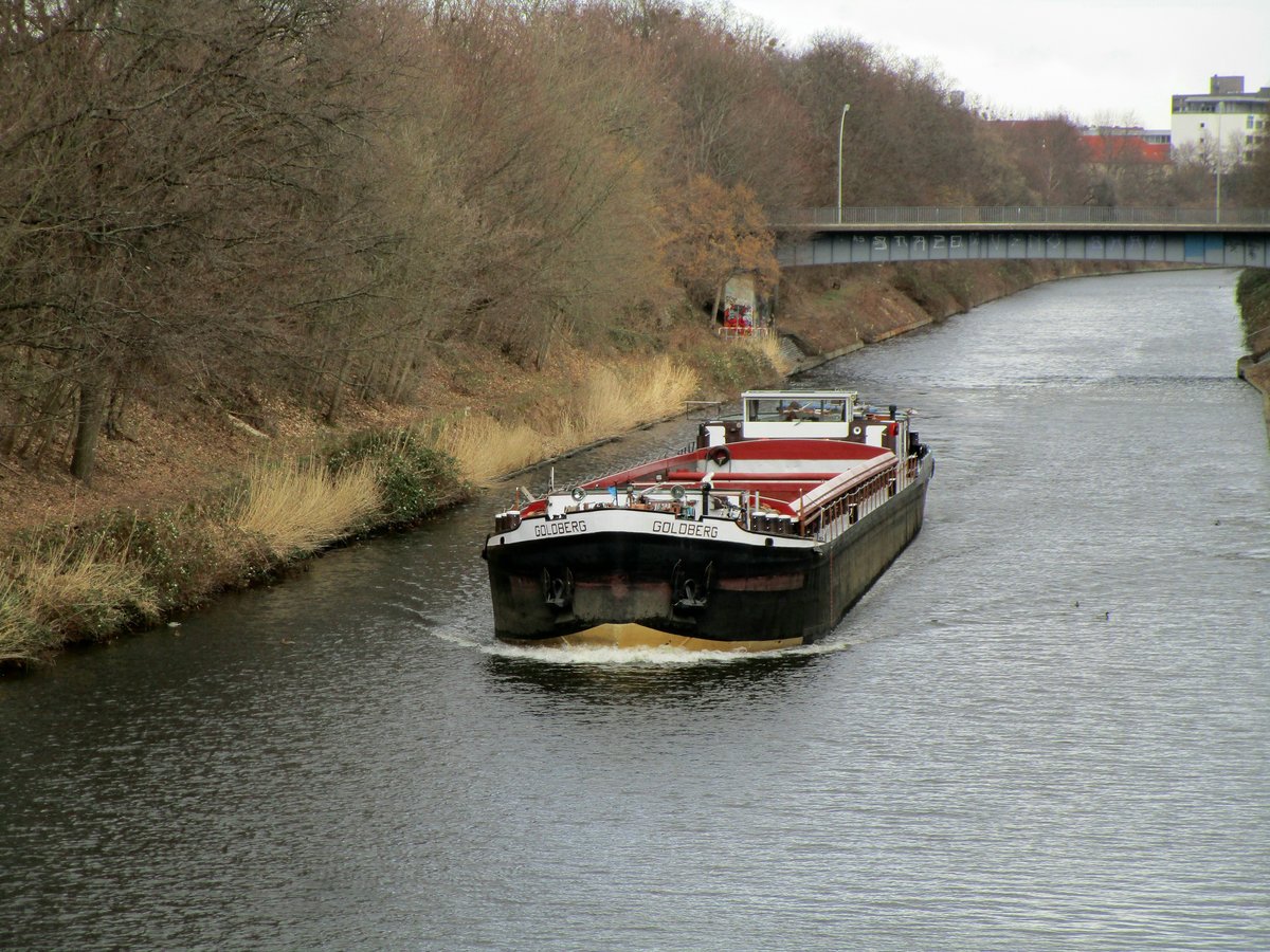 GMS Goldberg (04031090 , 67 x 8,2m) am 05.03.2019 im Teltowkanal in Berlin-Mariendorf auf Talfahrt.