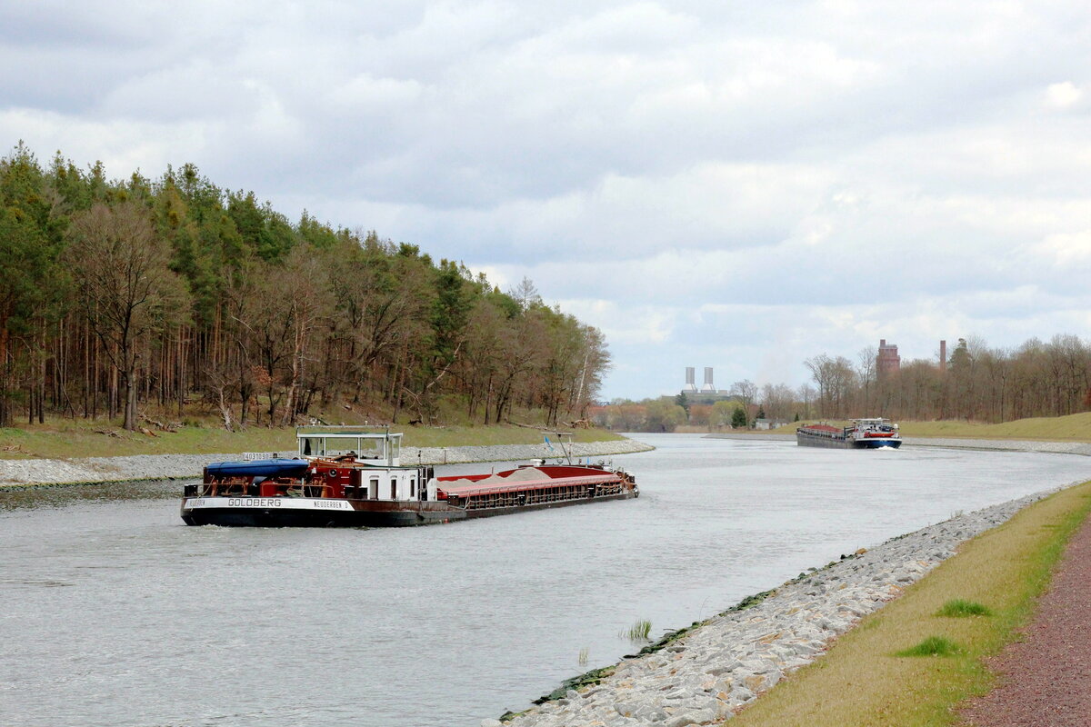 GMS  GOLDBERG  (04031090 , 67 x 8,2m)  folgte am 14.04.2021 dem GMS Angelus-Dei (04001670) im  ELBE-HAVEL-KANAL  zw. der Siedlung Wusterwitz und dem Wendsee.