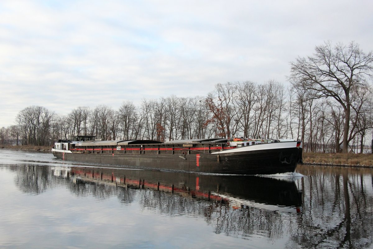 GMS  HAVELSTERN  (04013290 , 67 x 7,2m) am 17.01.2021 im Sacrow-Paretzer-Kanal km 22 / Höhe Fahrlander See / UNTERE HAVEL-WASSERSTRASSE  auf Bergfahrt.