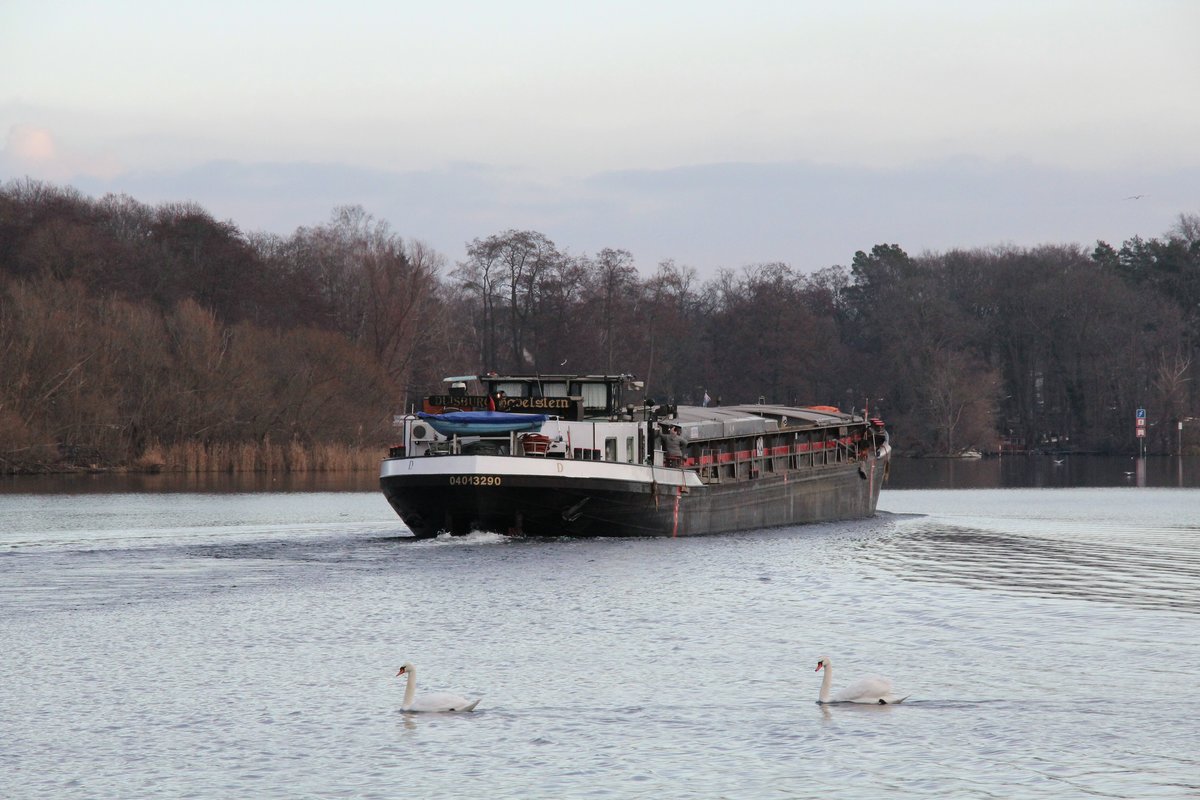 GMS  HAVELSTERN  (04013290 , 67 x 7,2m) am 17.01.2021 im WEIßER SEE / Sacrow-Paretzer-Kanal / UNTERE HAVEL-WASSERSTRASSE  auf Bergfahrt.