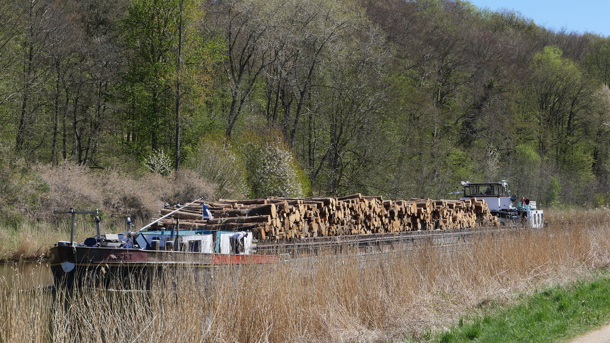 GMS HECHT (ex BORSIGWALDE), Jesteburg ENI 04024070 mit Holz beladen auf dem Elbe-Lübeck-bei Mölln, 22.04.2020
