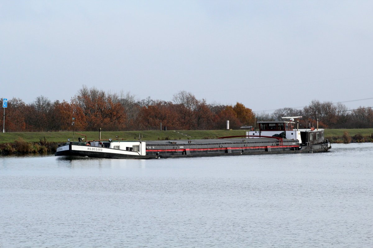 GMS Hildegard (04018050 , 67 x 8,2m) am 24.11.2016 auf dem Mittellandkanal Höhe Rothenseer Verbindungskanal mit Westlicher Fahrtrichtung unterwegs.