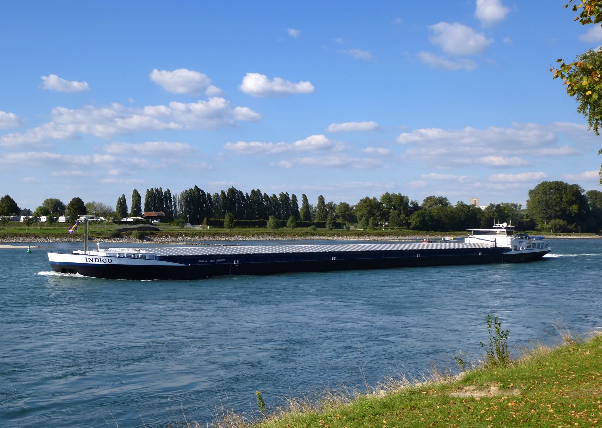 GMS  INDIGO , rheinaufwärts bei Plittersdorf, Baujahr 2005, Tonnage 3010t, Heimathafen in den Niederlanden, Sept.2015