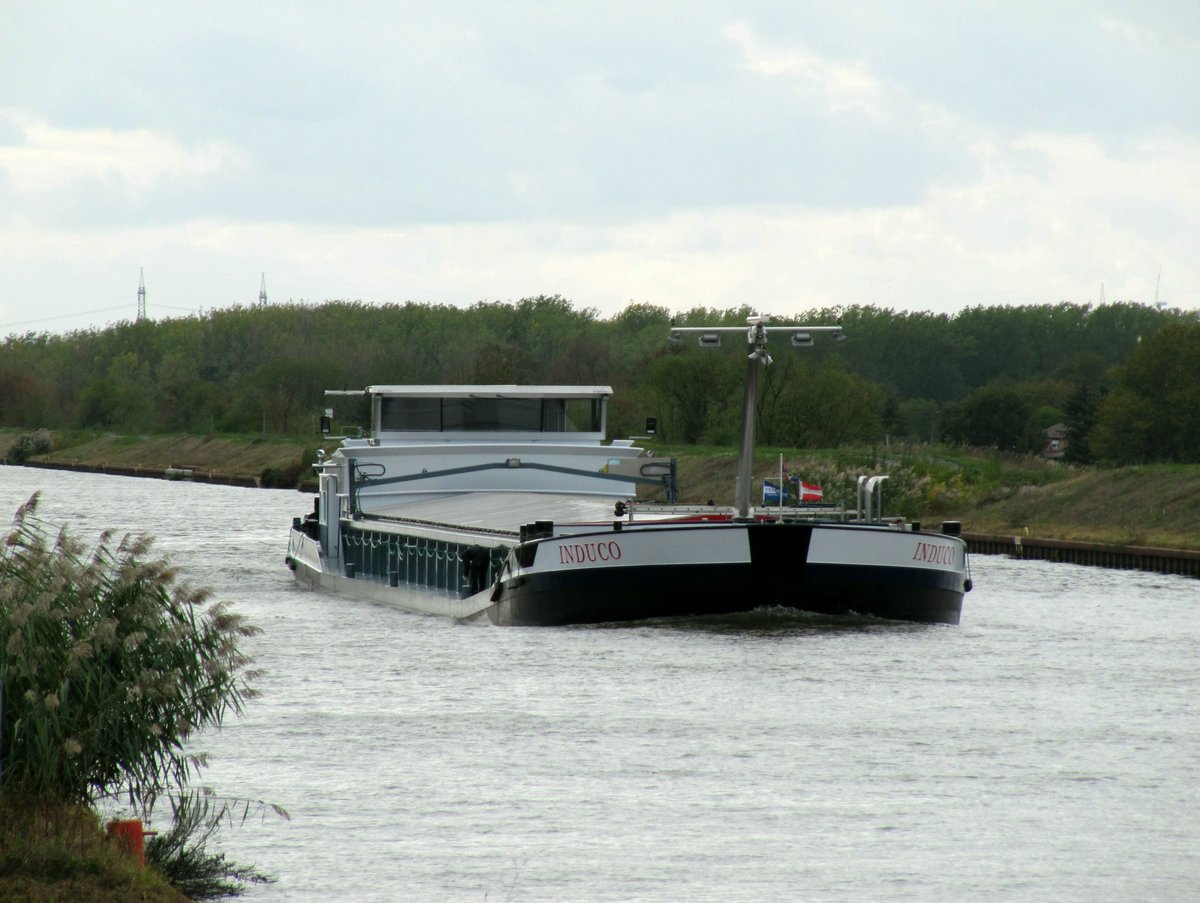 GMS Induco (02333386 , 86 x 9,5m) am 09.10.2019 im Mittellandkanal (MLK) zw. Haldensleben und MD-Rothensee auf Bergfahrt.