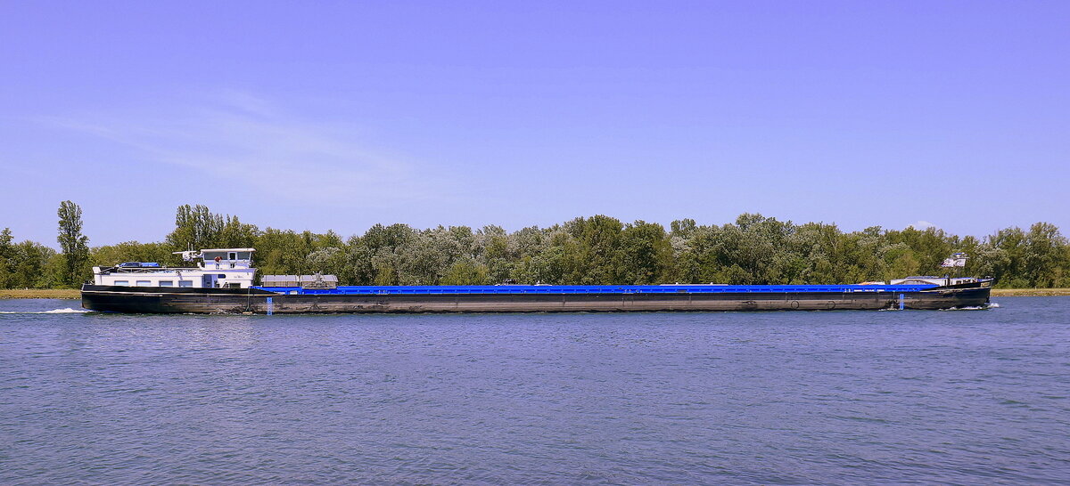 GMS INIZIO ENI 02324902, rheinabw�rts nach Breisach, Mai 2026