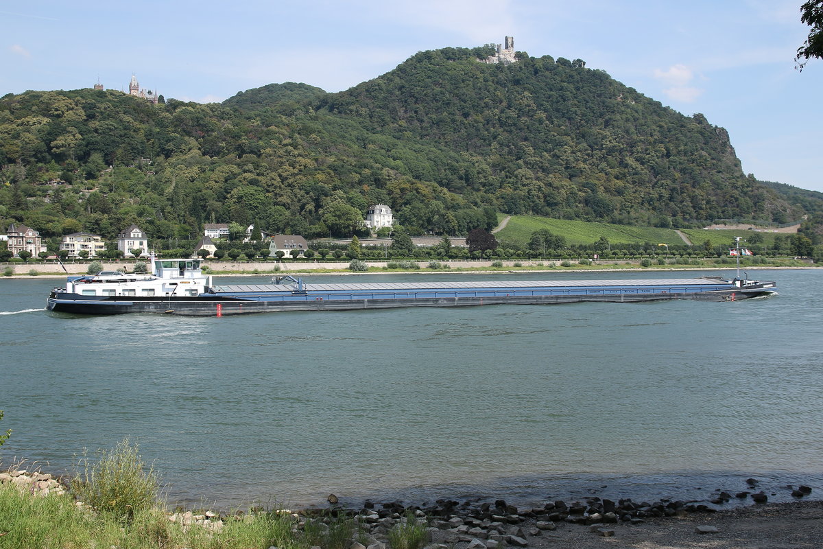 GMS INTANTUM, ENI 02328136, Dordrecht/NL, auf Bergfahrt auf dem Rhein bei Königswinter am 22.07.2020.