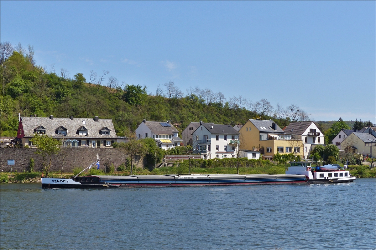 GMS Jado, am 30.04.2017 flussaufwärts auf der Mosel nahe Wasserbilligerbrück. Schiffsdaten: IMO 02313522, Bj 1944, L 67 m, B 8,20 m , Ladekapatzität  833 t, Eigner JADO SARL aus Wasserbillig.   (Jeanny)