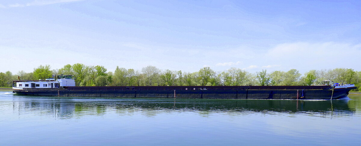 GMS JAKOB G�TZ ENI 04305890, rheinabw�rts nach Breisach, April 2026