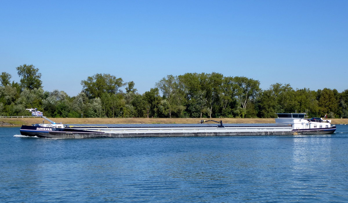 GMS  Janienke , rheinaufwrts vor Marckolsheim/Elsa, Baujahr 1972, L=86m, 1643t, 1018PS, unter Niederlndischer Flagge, Sept.2016