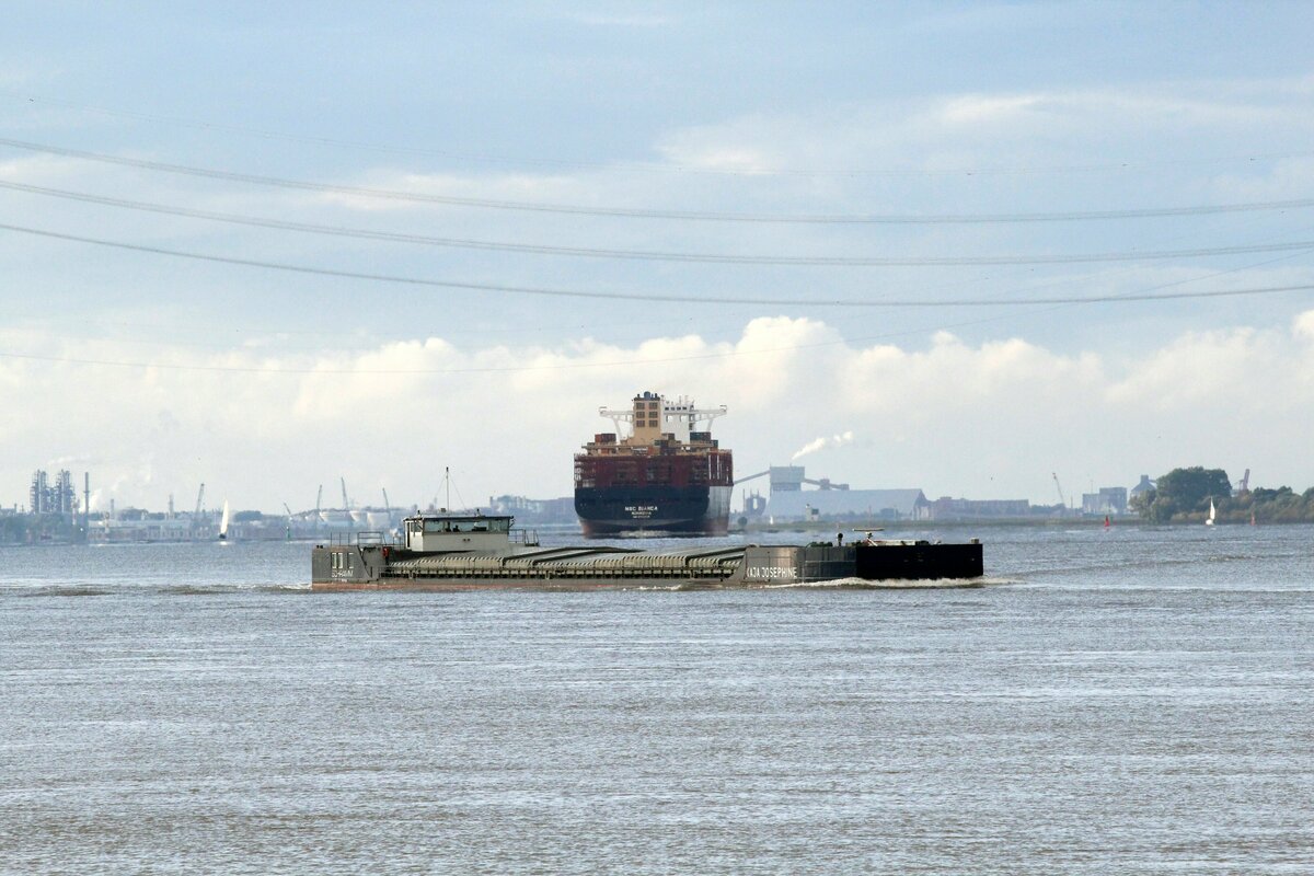 GMS  KAJA JOSEPHINE (04806020 , 97,52 x 13,63m) am 23.09.2023 auf der  ELBE  bei Lühe zu Berg zum Hafen HH. Im Hintergrund die auslaufende MSC Bianca , IMO 9770749 , 328,46 x 48m.