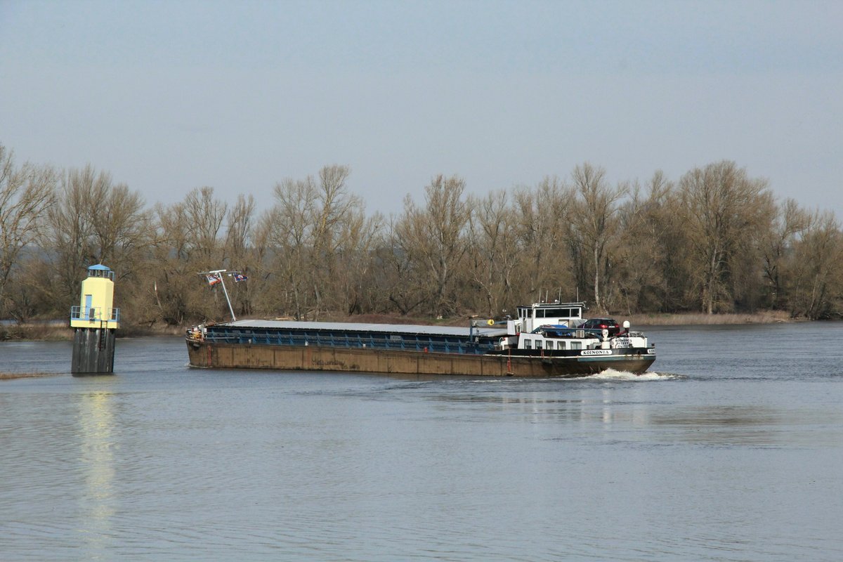 GMS Koinonia (02320325 , 84,50 x 8,20m) am 18.03.2020 , von der Schleuse Niegripp kommend , nach Backbord in die Elbe zu Berg einbiegend.