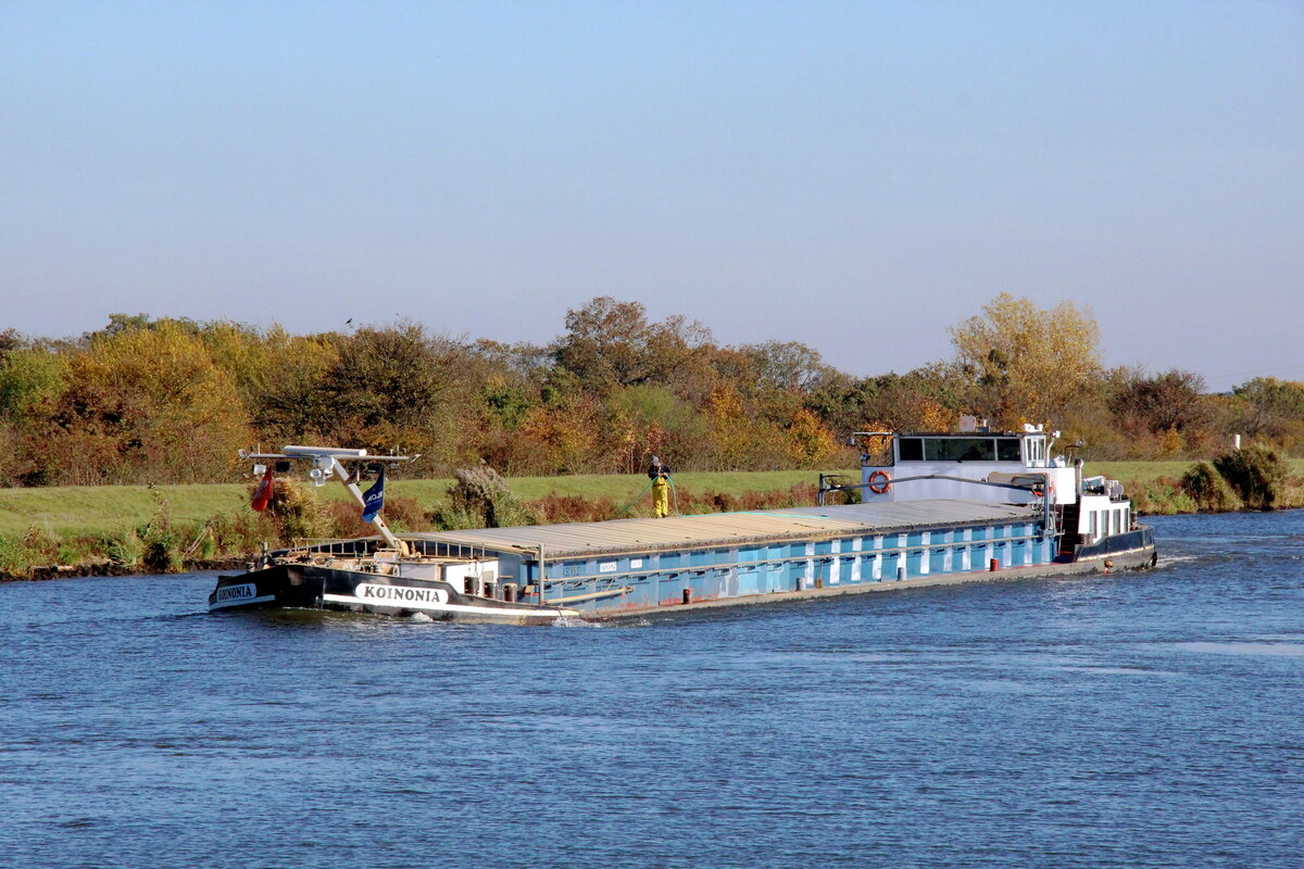 GMS  KOINONIA  (02320325 , 84,50 x 8,20m) am 28.10.2021 , von den Magedeburger Häfen kommend , im  MITTELLANDKANAL  Höhe Barleber See I auf Talfahrt.