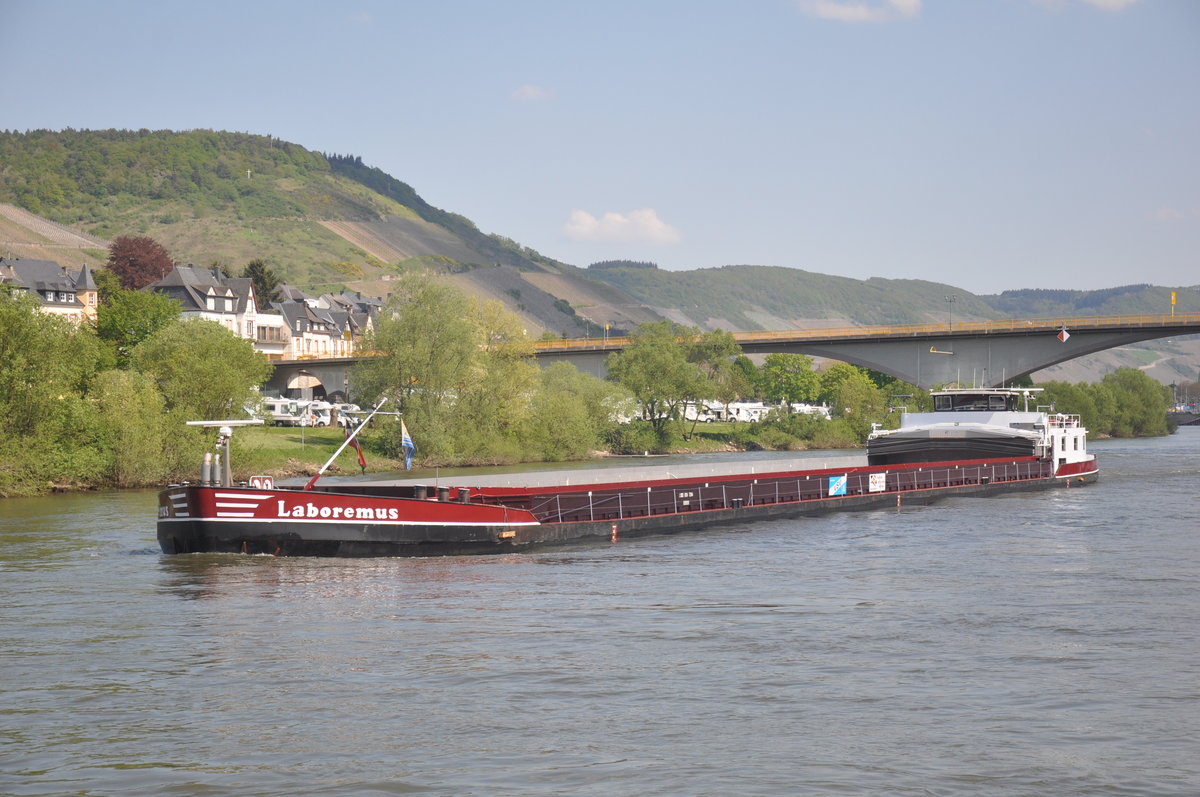 GMS Laboremus aufgenommen 07.05.2016 an der Mosel