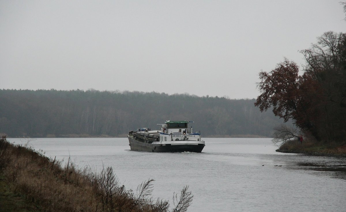 GMS  LIKEDEELER  (04029080 , 67 x 8,2m) am 09.01.2021  im Sacrow-Paretzer-Kanal / Jungfernsee / UNTERE HAVEL-WASSERSTRASSE  Höhe Nedlitz / Grosses Horn auf Bergfahrt.