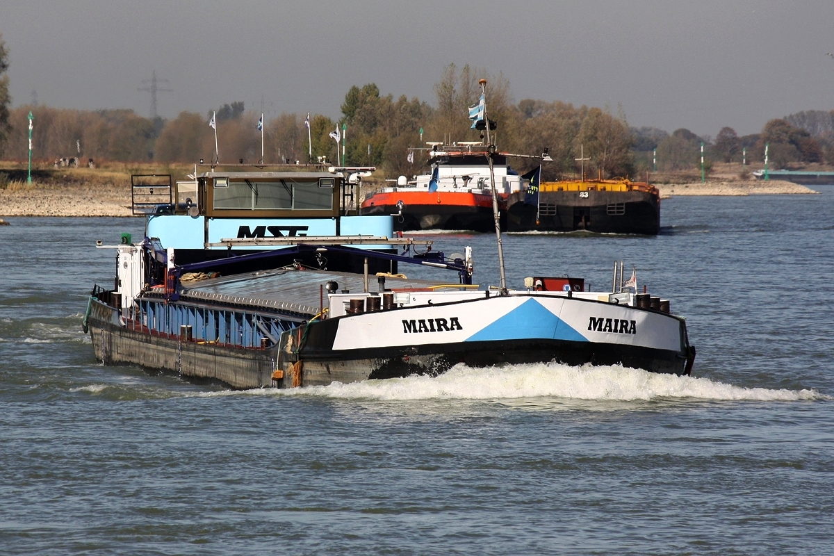 GMS Maira-04003750 am 05.10.2018 bei Strom-Km 824 am Rhein bei Xanten.