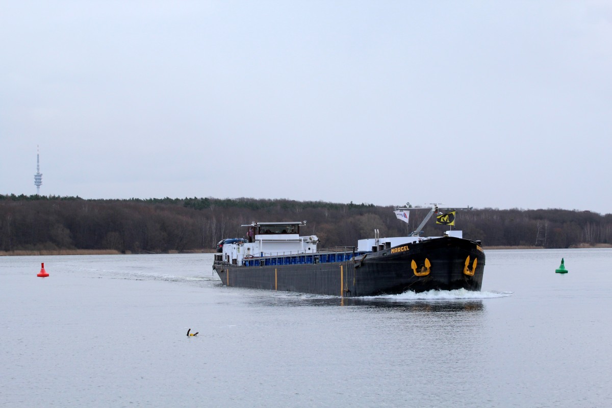 GMS Marcel (04030900 , 66,84 x 8,19m) am 29.01.2015 vom Jungfernsee kommend in den Sacrow-Paretzer Kanal zu Tal einfahrend.