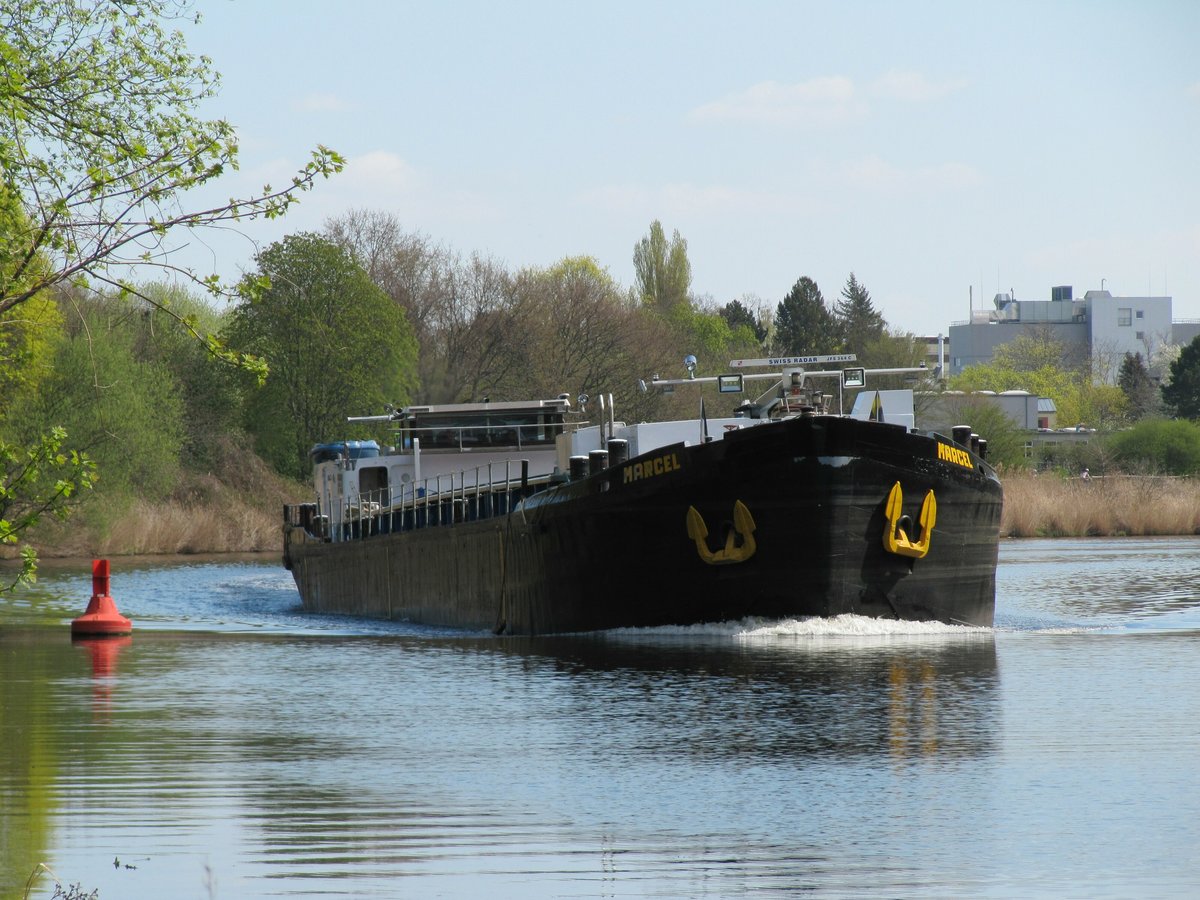 GMS Marcel (04030900 , 66,84 x 8,19m) am 17.04.2020 im Teltowkanal Höhe Teltow auf Talfahrt. 