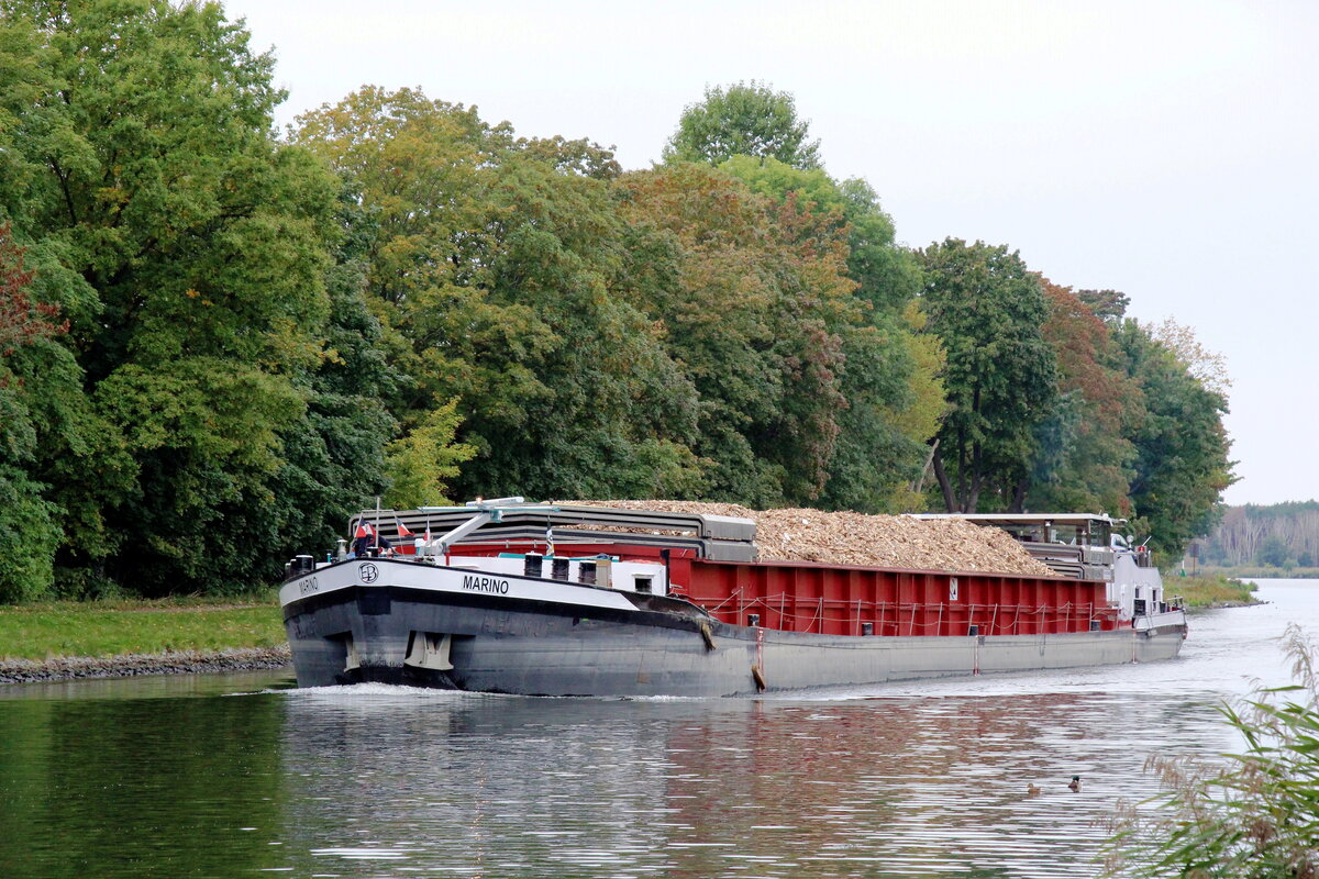 GMS  MARINO  (04012860 , 83 x 9,50m) am 04.10.2021 im Sacrow-Paretzer-Kanal /  UNTERE HAVEL-WASSERSTRASSE zw. Schlänitzsee / km 27 und Marquardt / km 26 auf Bergfahrt.