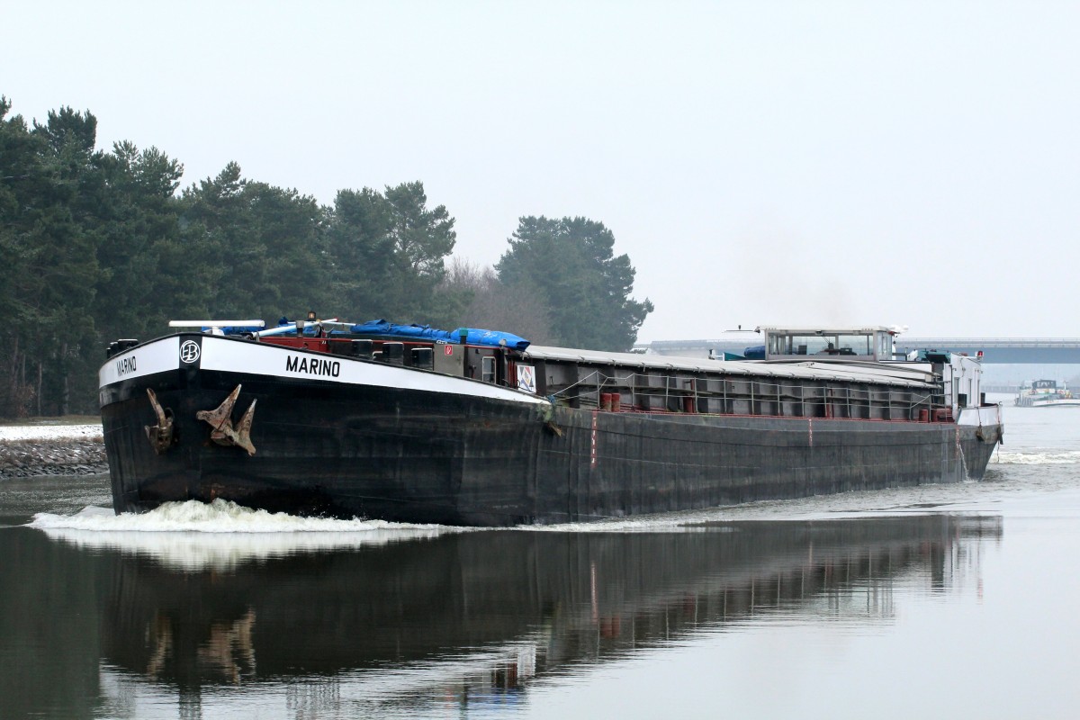 GMS Marino (04018160 , 80 x 9,50m) am 18.02.2016 im MLK bei Hohenwarthe mit Fahrtrichtung Trogbrücke / Haldensleben.