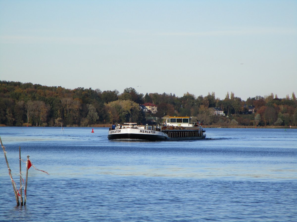 GMS Mercator (05501730 , 85 x 9,50m) am 31.10.2018 auf der Havel zw. der Pfaueninsel und Meedehorn zu Tal.