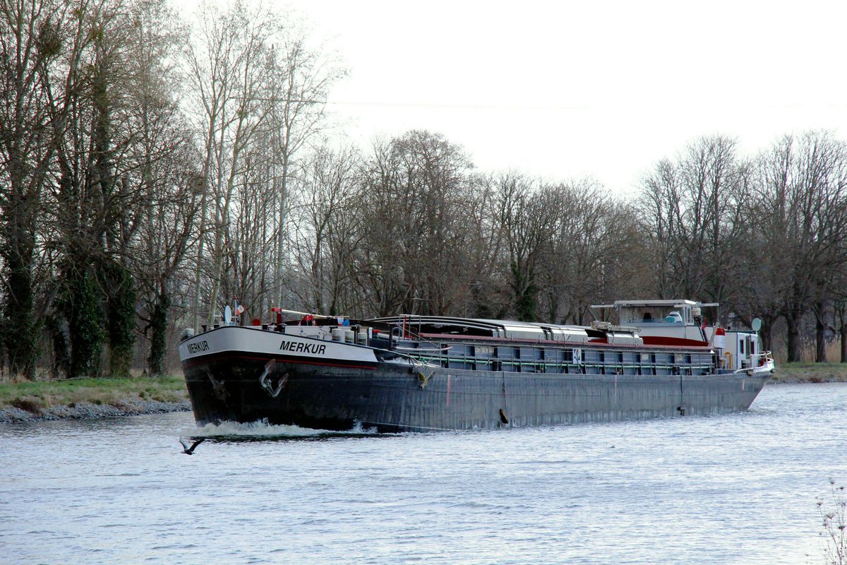 GMS  MERKUR  (04403640 , 80 x 8,20m) befuhr am 06.04.2021 den Sacrow-Paretzer-Kanal / UNTERE HAVEL-WASSERSTRASSE  zw. Marquardt und Schlänitzsee zu Tal zum Elektrostahlwerk in Brandenburg/Havel.